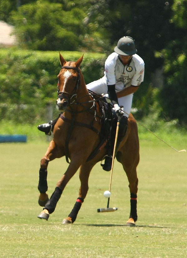 polosun 6