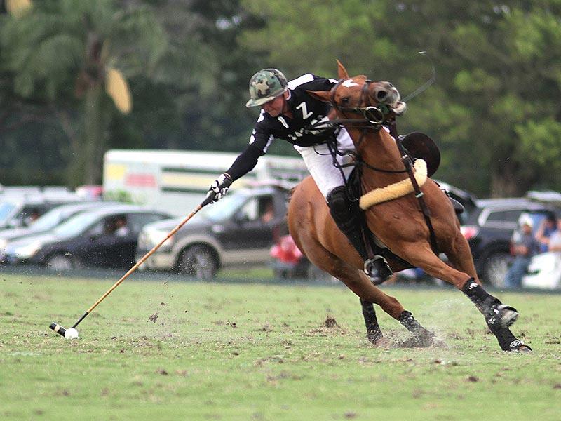 Inside Polo 10 html m3ecdfdb3