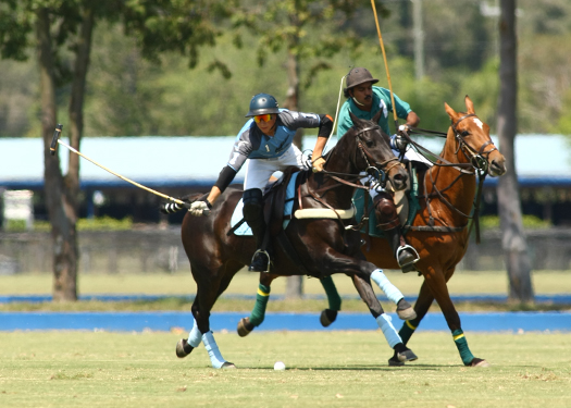 alex pacheco polo magazine Polo site polo 2013 polo time polo team polo online polo.com international polo club polo usa polo wellington florida. 4