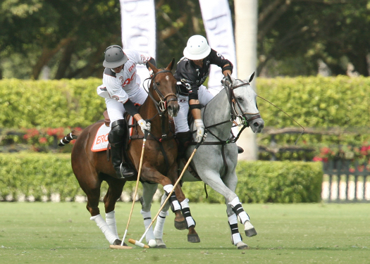 Photos-ERG vs. Piaget Photo Credit-Alex Pacheco