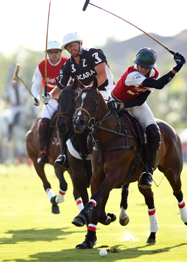 zacara coca polo teams polo gold cup ipc polo clu 2