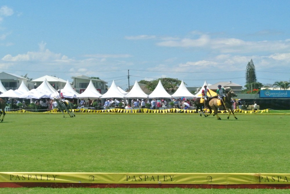 DSC 7967