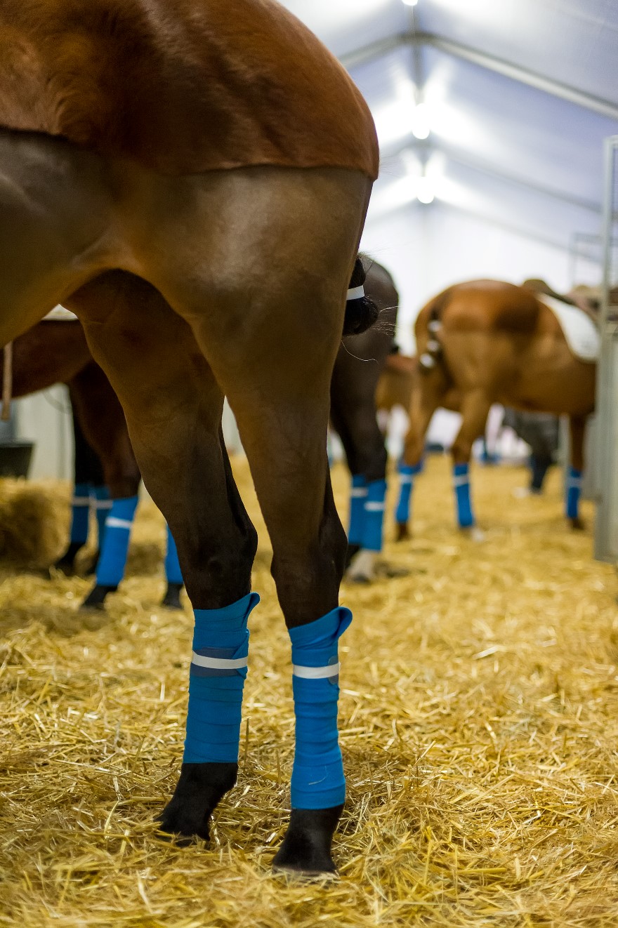 andyparantvillagephotovaldiserepolotourpolomagazinepolomastersfrenc 2