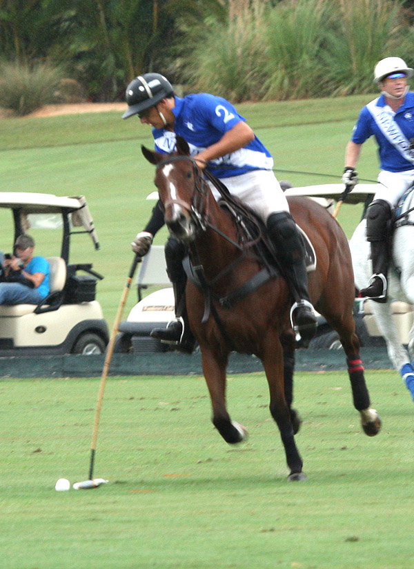 palmrestuarantinvitationalpolomagazinepolotournamentpachecopolophotos 3