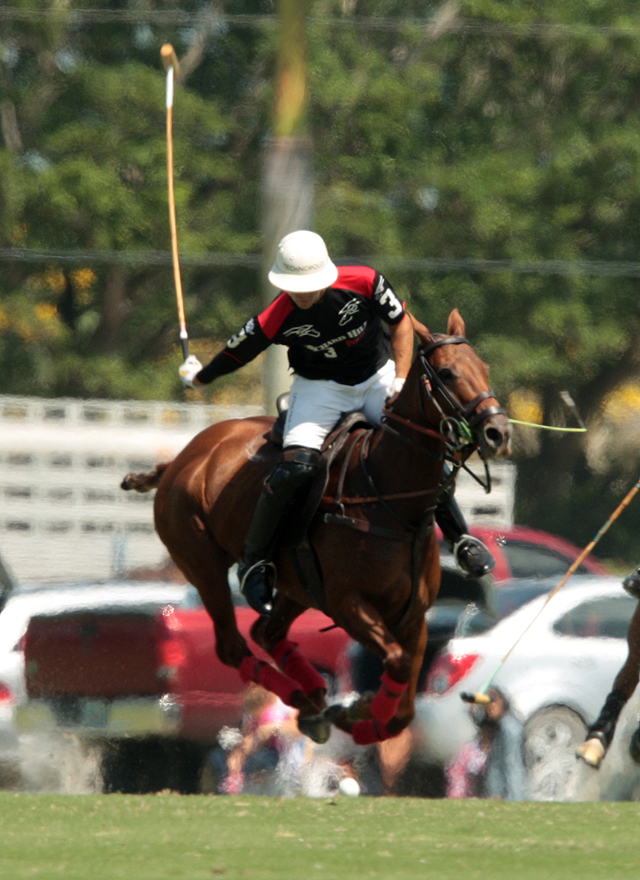 photos-alegria-11-orchard-hill-10 3 polomagazine.jpg