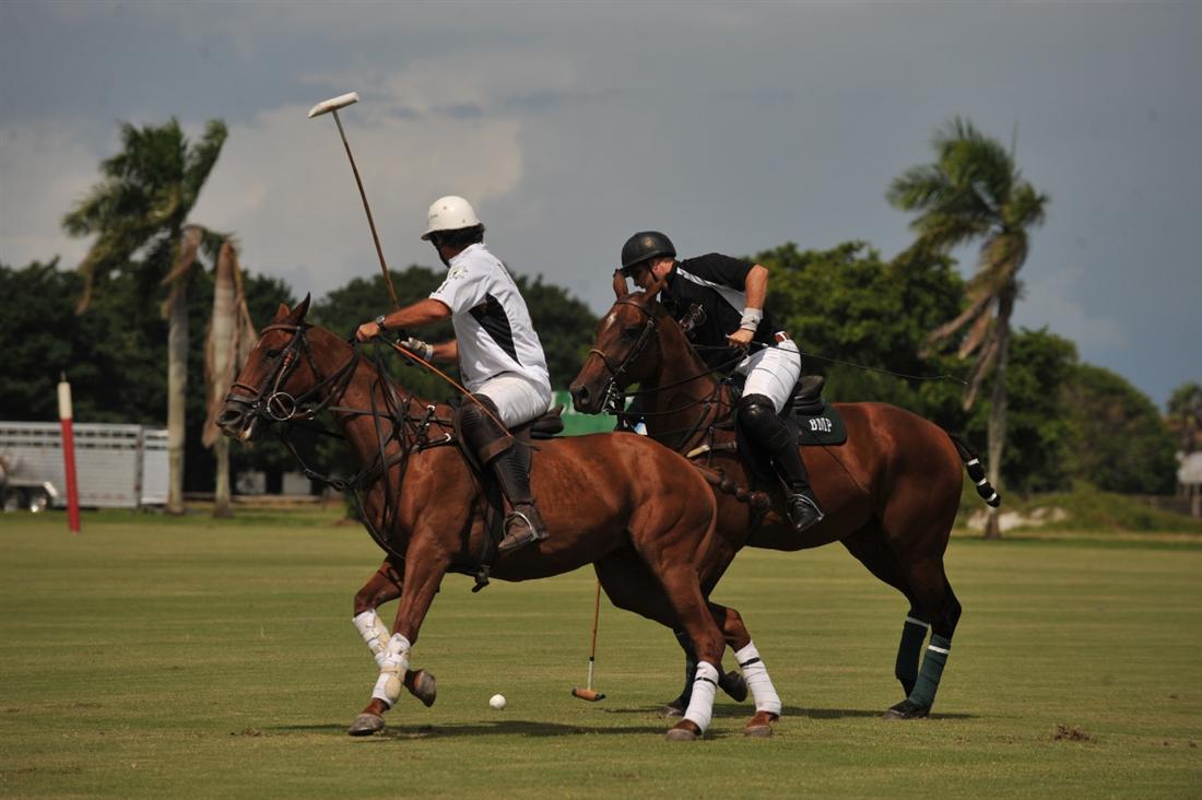 DSC 3326aa Ami De La Mer POLO Magazine