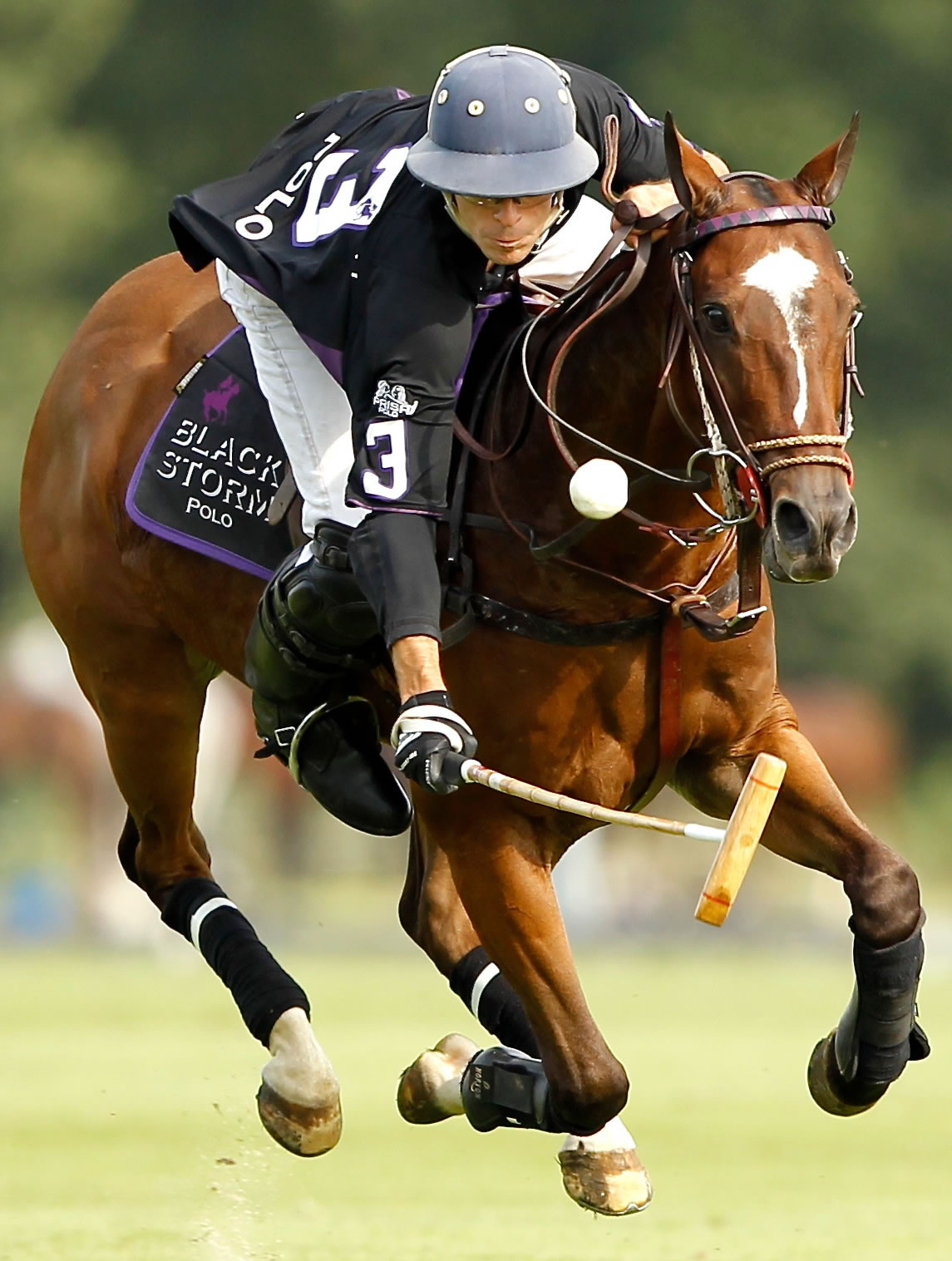 French Polo Open 2011