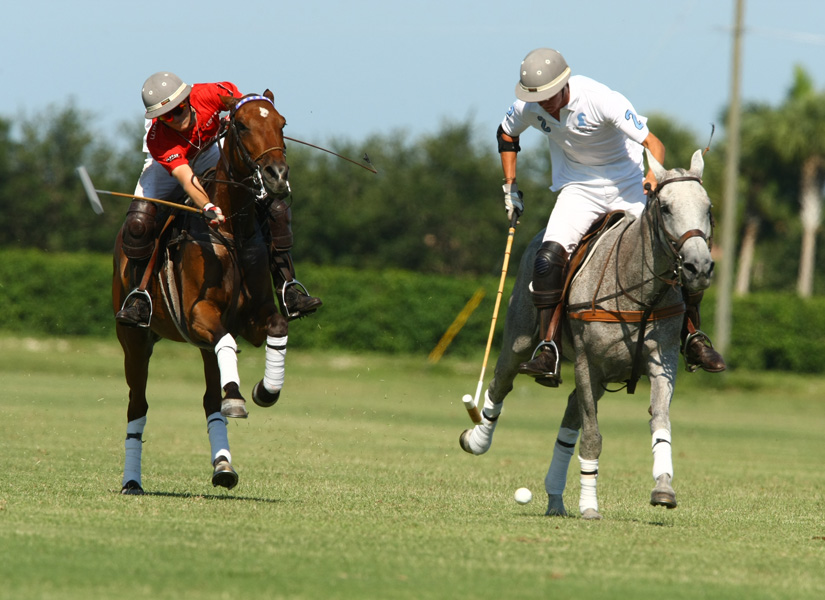 audi polo team elg polo team 3
